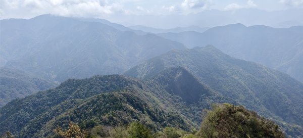 2025/04/04_加里山登山步道2755048