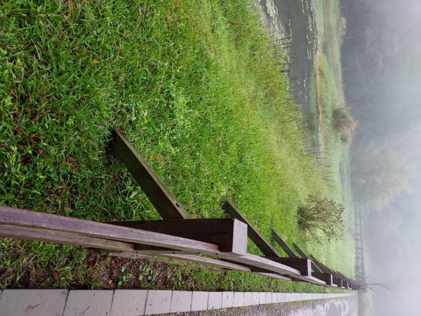 小油坑～七星山～冷水坑～擎天崗1940758