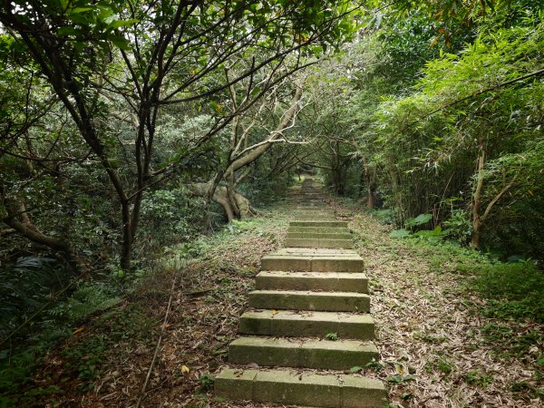 [淡蘭古道] 2026_0531 北路第一段_琉榔路步道3070552