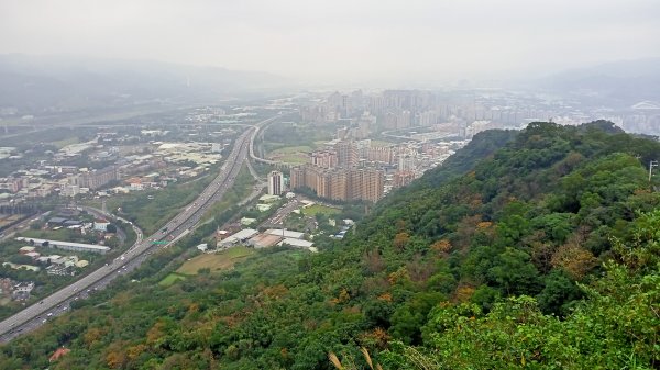 【南山神壽任務尋寶趣】鳶山彩壁、福德坑山步道【小百岳集起來】#19 鳶山登山步道1580897