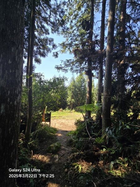 2025-03-22油羅山步道2743441