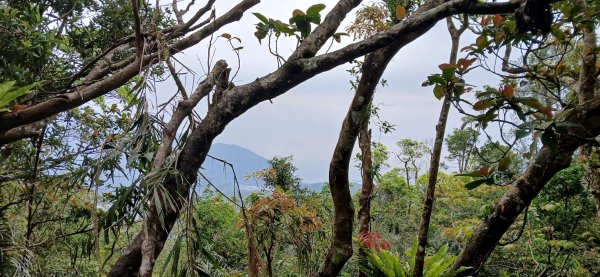 2025 4/5 加奈美山2754450