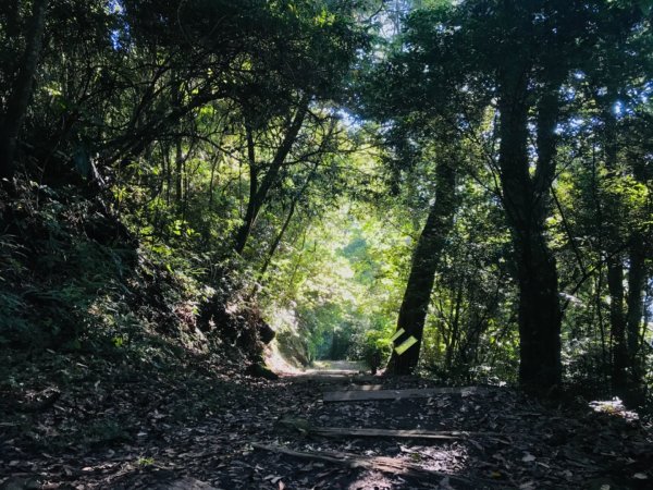 特富野古道1134114