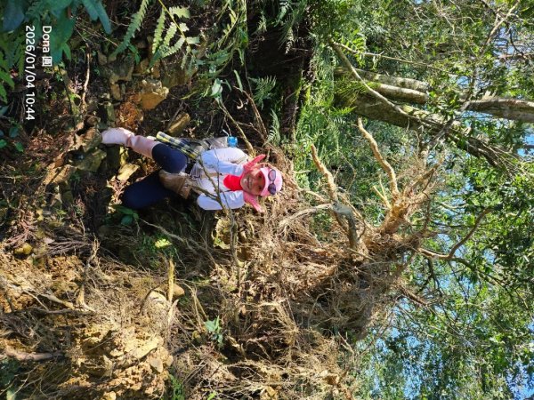 20260104源茂山.源茂山西峰.和尚髻山O走+親水觀魚步道2977715