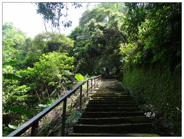 獅山古道/獅頭山643318