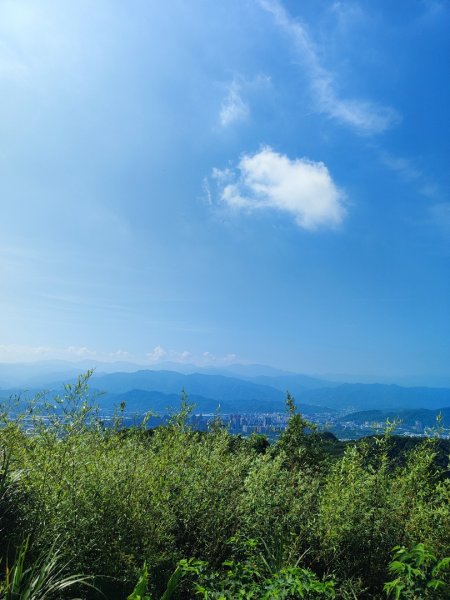 後花園散散步2855166