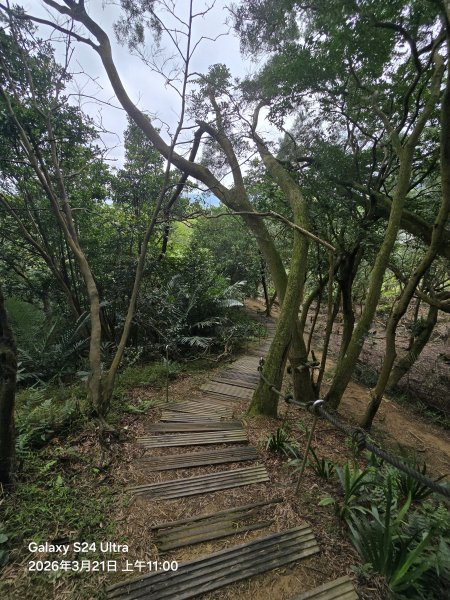 2026-03-21微笑山線：【鳶山山系】鳶山彩壁段3020480