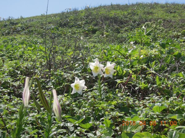 20180408_老梅石槽獅頭山849309