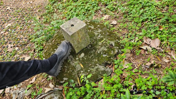 圓通寺烘爐地登山步道大O走3007104