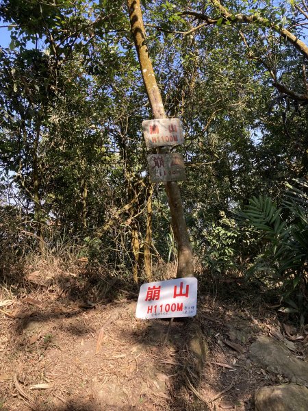 20260219九龍山+崩山+黑石崁山南峰+黑石崁山+凍仔頂山3002566