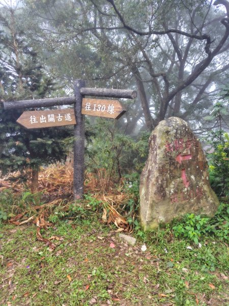 苗栗關刀山2975074