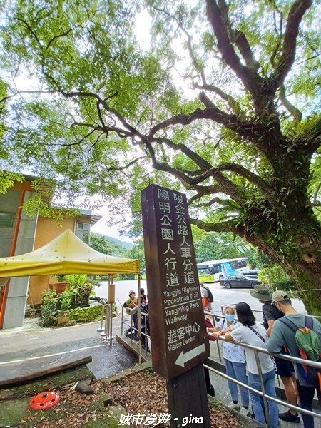 【台北北投】搭捷運公車爬山趣。 小百岳集起來。編號1小百岳~大屯山主峰步道1762755