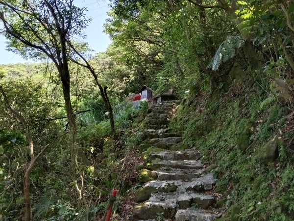 雙溪區不厭亭+牡丹山+樹梅坪+鷹石岩山神廟+不厭亭+奉憲示禁碑+三貂崙+不厭亭8字走2766256