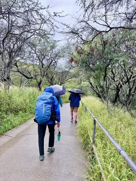 鑽石頭山及珍珠港悠遊  2026.2.213012756