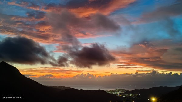 雲山水花鳥蝶 - 天龍國阿伯的日常7/18 & 21、22、292559975