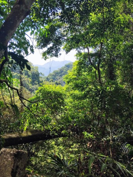 打鐵寮-草嶺山-白石山3043765
