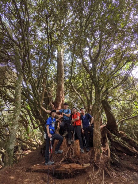 中級山-高島縱走2888430