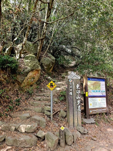 東卯山-谷關七雄(老五)2991614