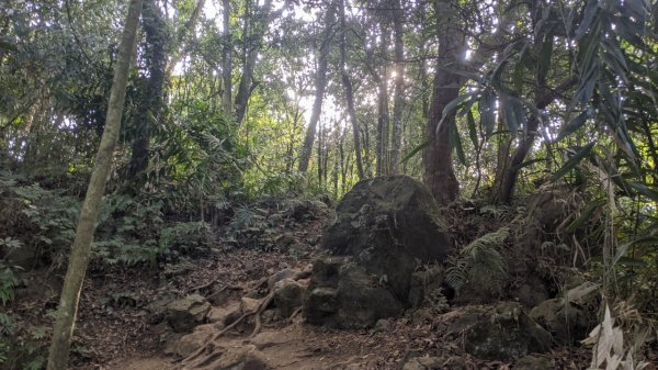 馬那邦山步道(珠湖登山口上)1585910