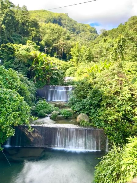 挑竹古道6號走小半天6連峰出孟宗竹林古戰場3108706