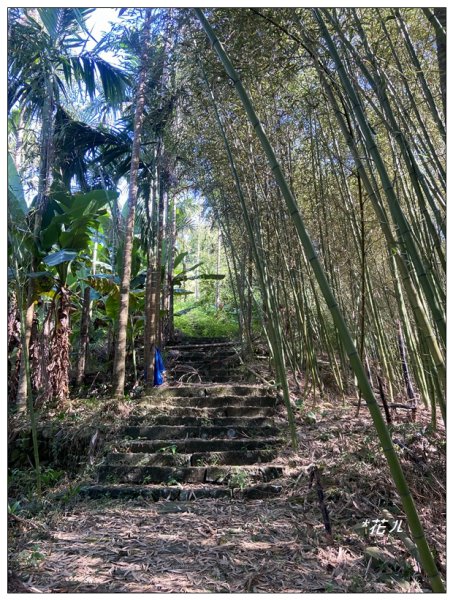 麒麟潭步道、尖子頂山(南投、鹿谷)2665761