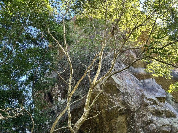 竹子尖山、梅嶺2943150