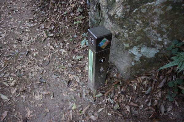 谷關七雄東卯山305515