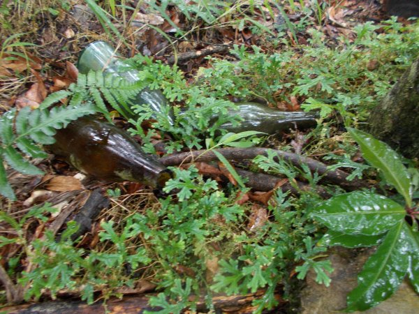 蕃社坑山連走鳳紗山隘勇線1107146