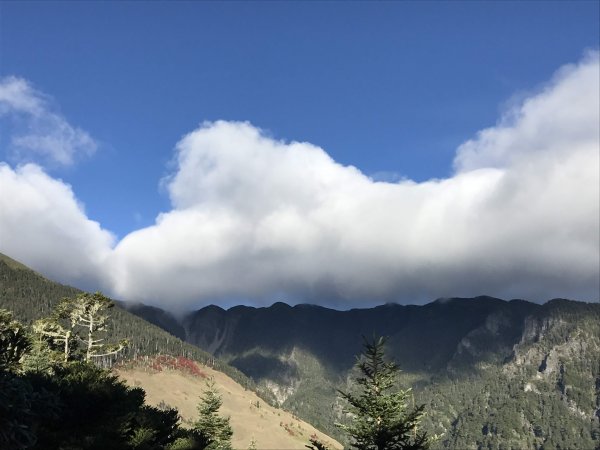 雪山 不下雪532987