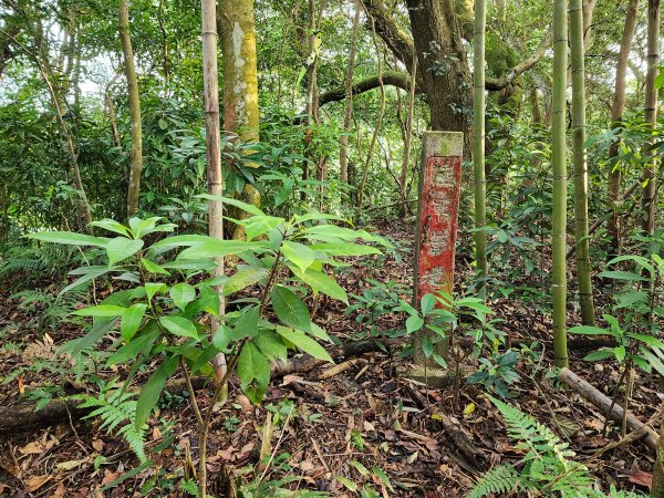 20241215富浪波山鹹菜棚街與打牛崎步道2691612