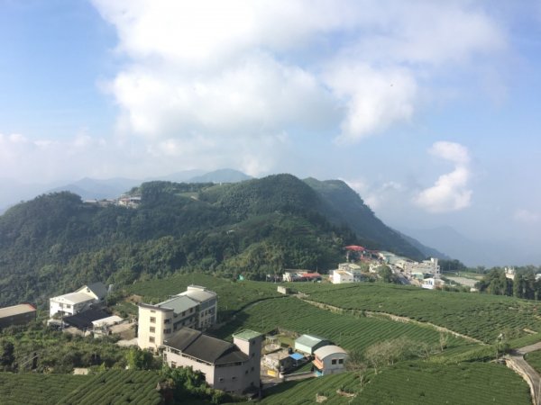 頂石棹步道群445413