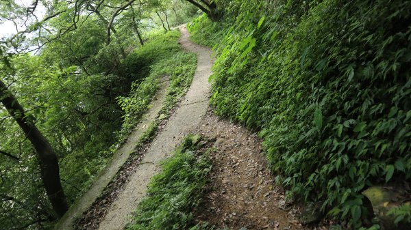 雙石縱走登山健行趣(小百岳24號&25號)2169412