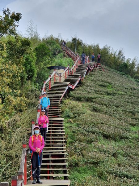 【雲嘉】連峰茶道之美1717472