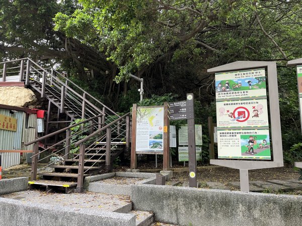 [阿龍尋寶任務]2023_0617_柴山步道(北柴山)2187896