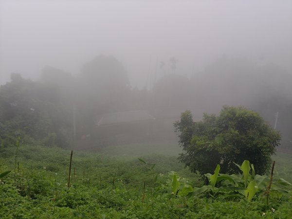 雲嘉十八連峰2589569