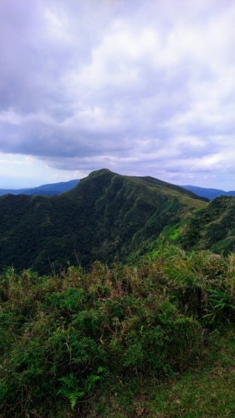 桃源谷（大里天公廟—大溪河濱公園）735846