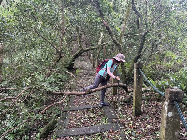 獅仔頭山 2025.07.202864263