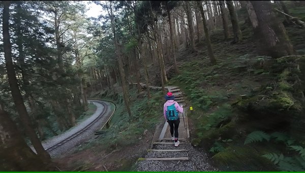 阿里山眠月線2972772