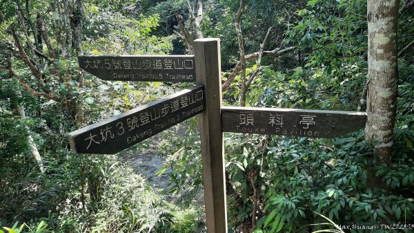 《台中》虎頭蜂巢｜大坑5號登頭嵙山黑松亭（聖普宮）202508092855074