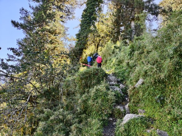 北一段(03/14)多加屯山 2025_0906~132885253