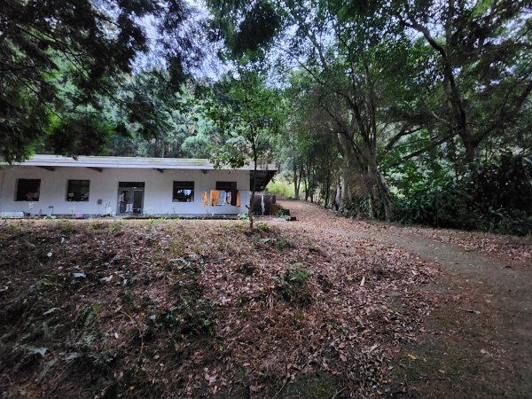 20260220板子寮山舊武界越山橫屏山O型3011633