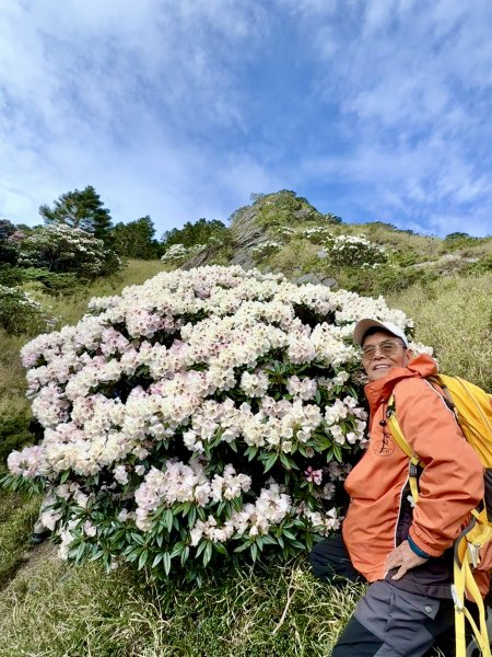 小奇萊賞杜鵑趣--與高山杜鵑的約定    2026.4.283044335
