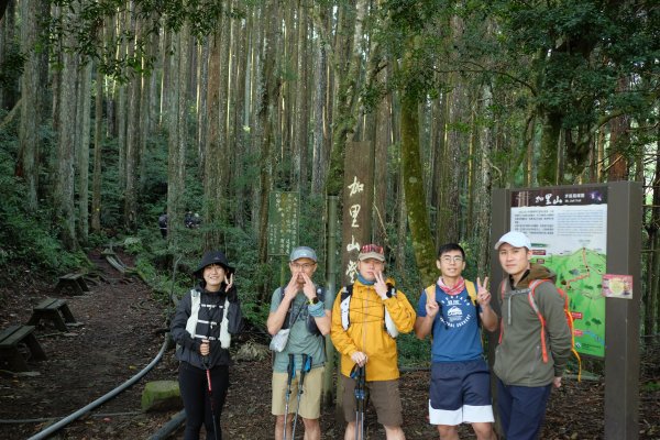 苗栗南庄鄉 二訪加里山 ‧ 2025春 哈加2753371