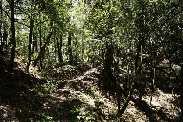 台中 和平 馬崙山2796984