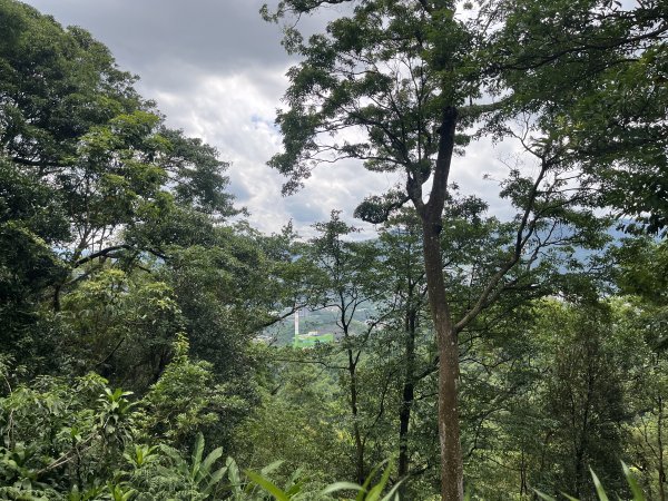 [微笑山線_第五段] 2025_0705 天上山系_南勢角山2830433