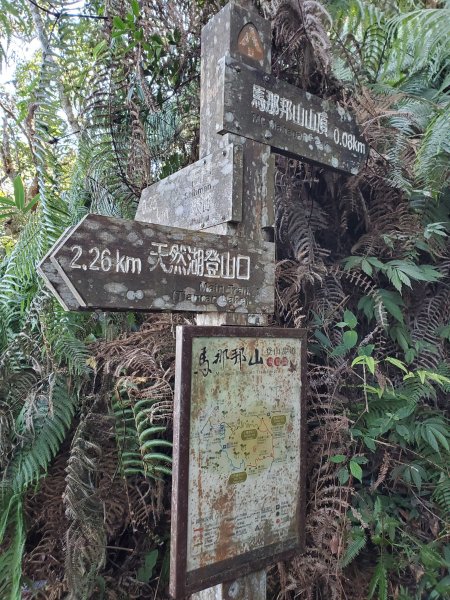 小百岳_馬那邦山1501281