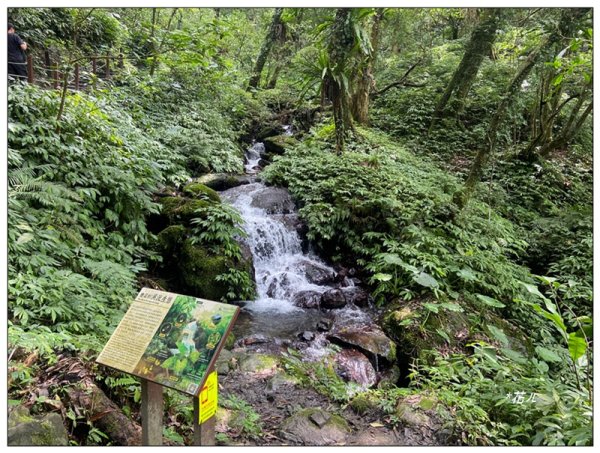聖母峰、三角崙山 (抹茶山) 連走2802203
