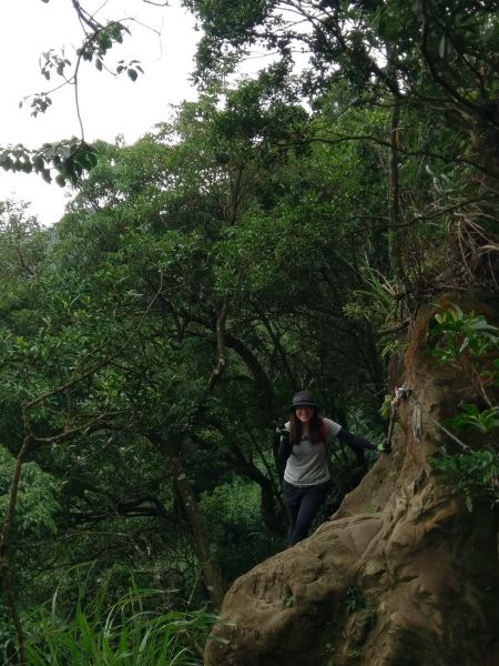 筆架連瘋（炙子頭山,筆架山,二格山）395110