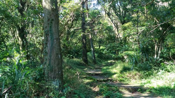 面天山層層雲海美極了!209221