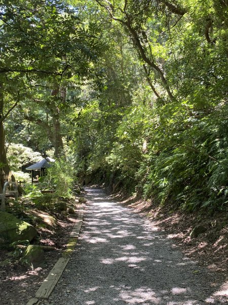 《陽明山秘境健行｜翠峰瀑布 × 天母古道 夏日涼爽路線》2852223